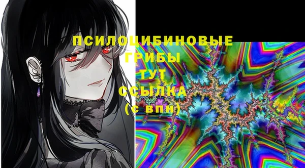 apvp Алексин