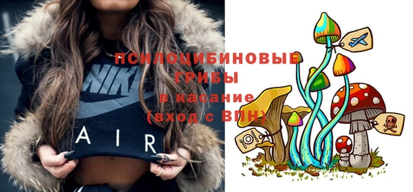 спиды Алзамай