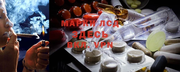 apvp Алексин