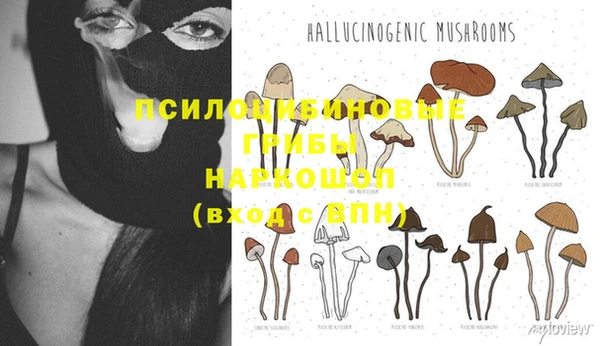 хмурый Алексеевка